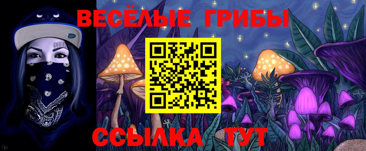 Галлюциногенные грибы Cubensis  Вход с VPN  Сургут 