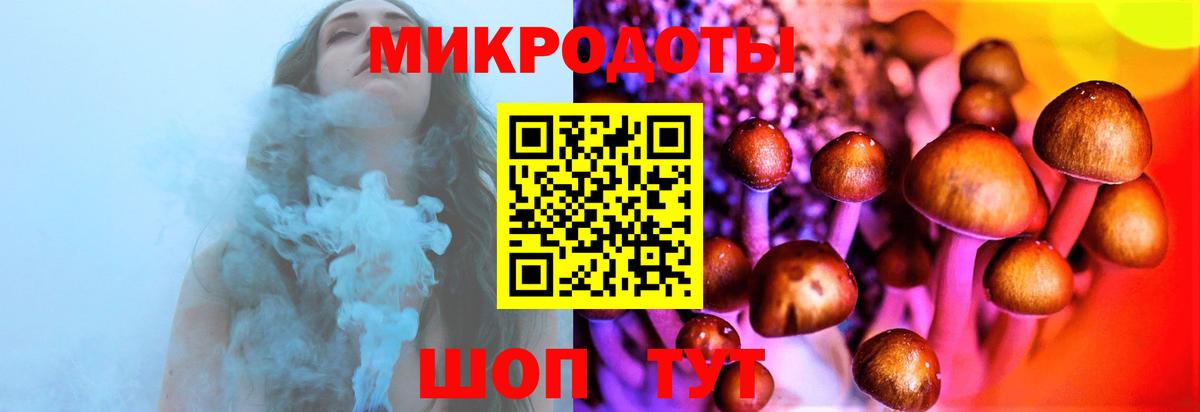 Псилоцибиновые грибы Psilocybine cubensis Сургут